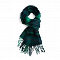 картинка Clans of Scotland Ross Hunting от магазина  Mykilt